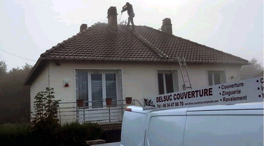 delsuc couverture